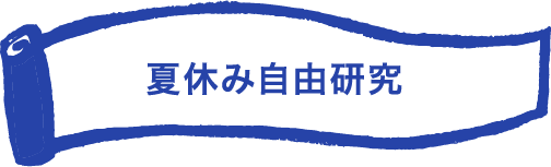 夏休み自由研究