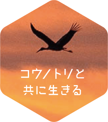 コウノトリと共に生きる