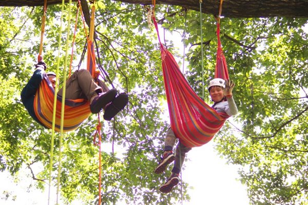 木の上の世界へ！木登りツリーイング | 豊岡市観光公式サイト