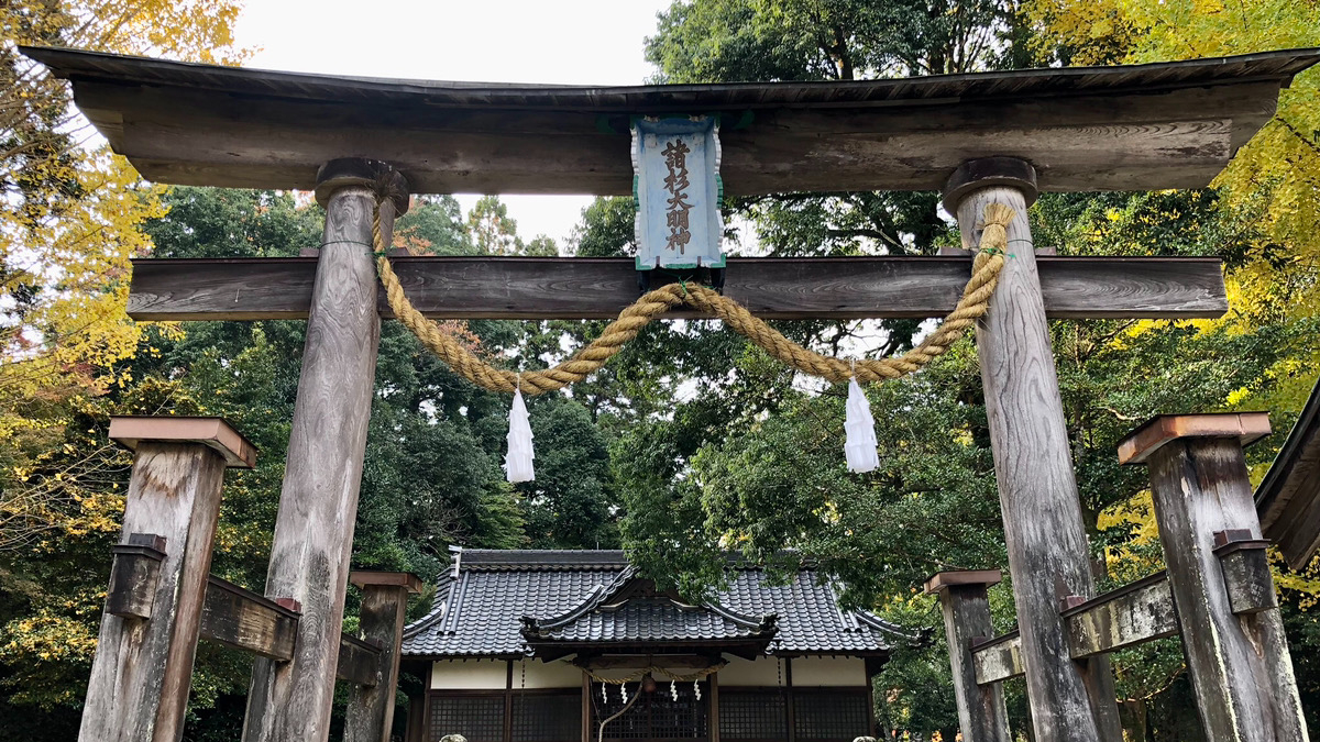静寂の中に佇む神聖なるスポット【諸杉神社】 | 豊岡市観光公式サイト