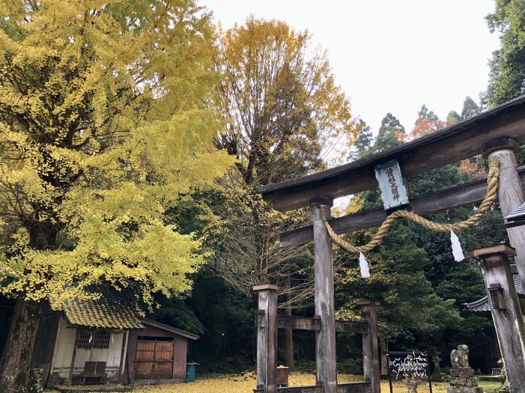 静寂の中に佇む神聖なるスポット【諸杉神社】 | 豊岡市観光公式サイト