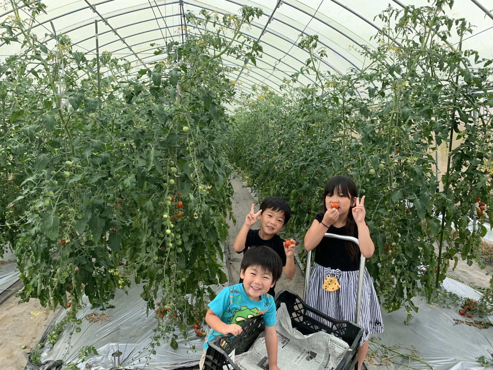 【送料込み】【古材⑪　農民具パーツ・部材　アート オブジェ】 農家に変身！にっこり収穫＆農業体験☆ | 豊岡市観光公式サイト