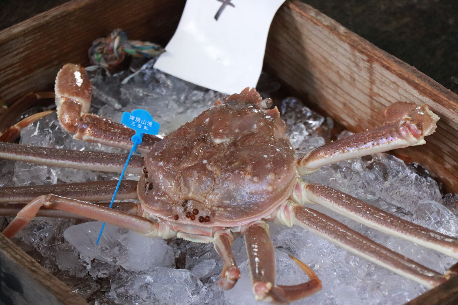 【2026年3月20・21・22日】　城崎温泉　かに雑炊・たる酒　無料振る舞い